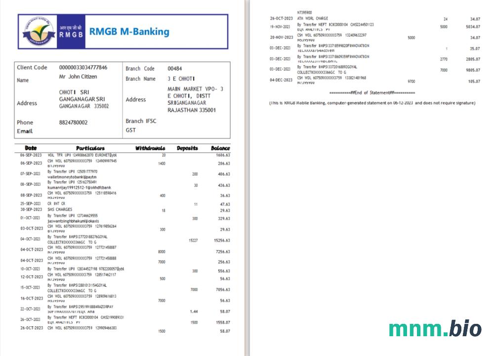 India RBL Bank statement szablon Worda i PDF, 2 strony
